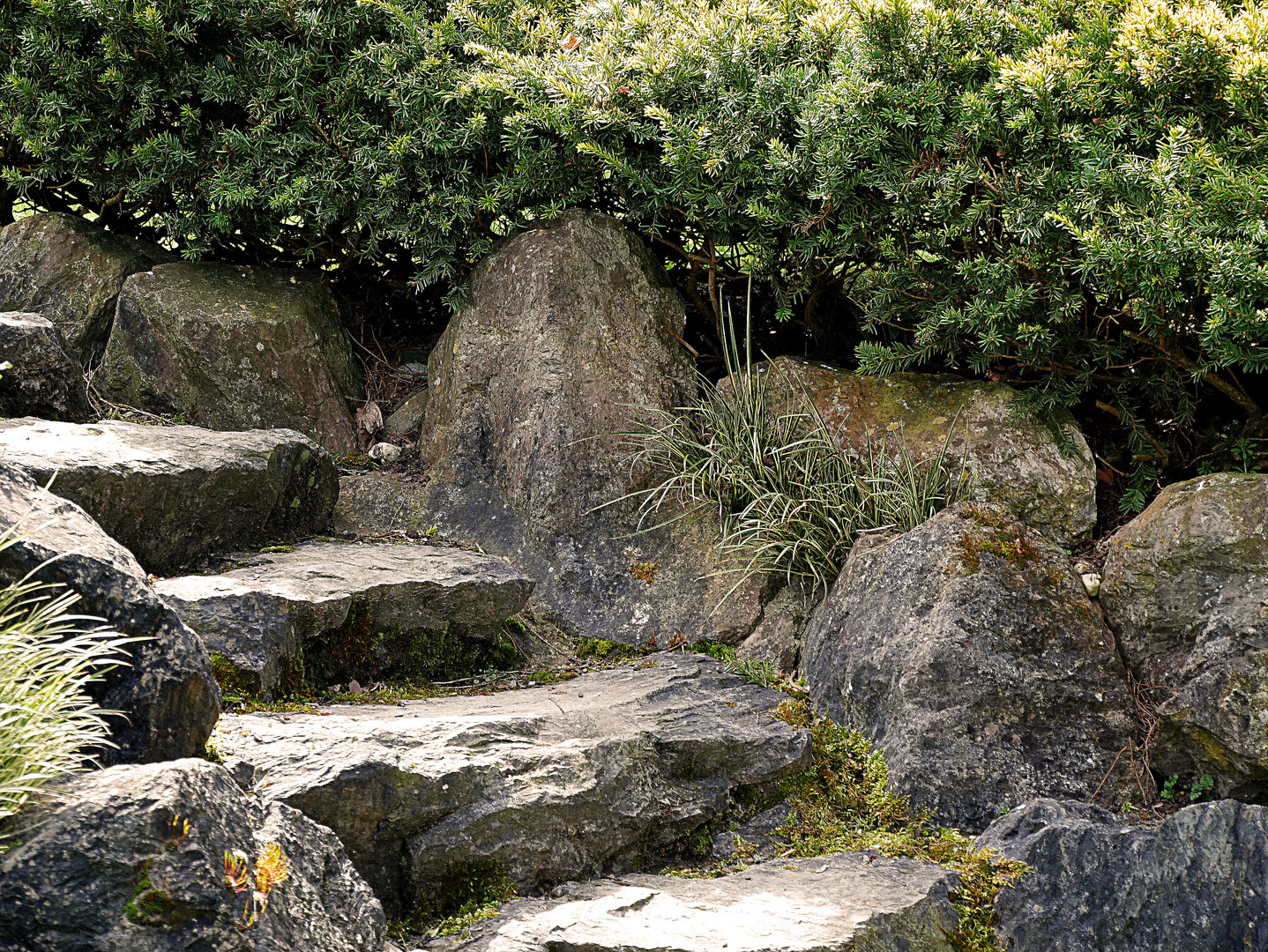 Faszinierend angelegte Treppe im Japanischen Garten Düsseldorf.