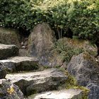 Faszinierend angelegte Treppe im Japanischen Garten Düsseldorf.