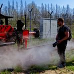 FASZINIEREND DIESER TEMPORÄR DUFTENDE ZUSTAND VON ÖLIGEM DAMPF BEIM FRÜHLINGSFEST #16