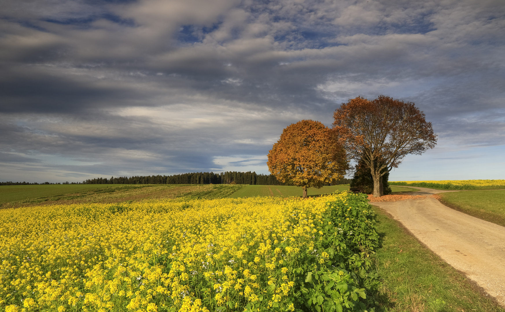 Faszinierende Herbstfarben