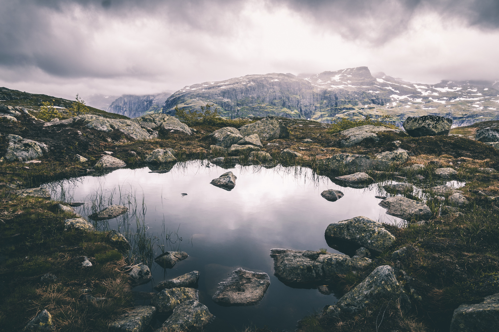 Faszinierende Natur