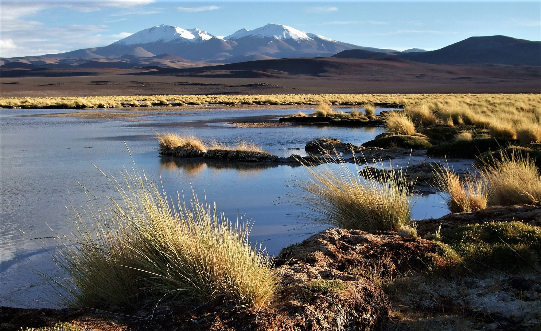 Faszinierende Puna de Atacama