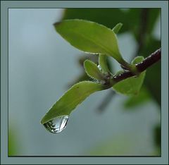 Faszinierende Wassertropfen