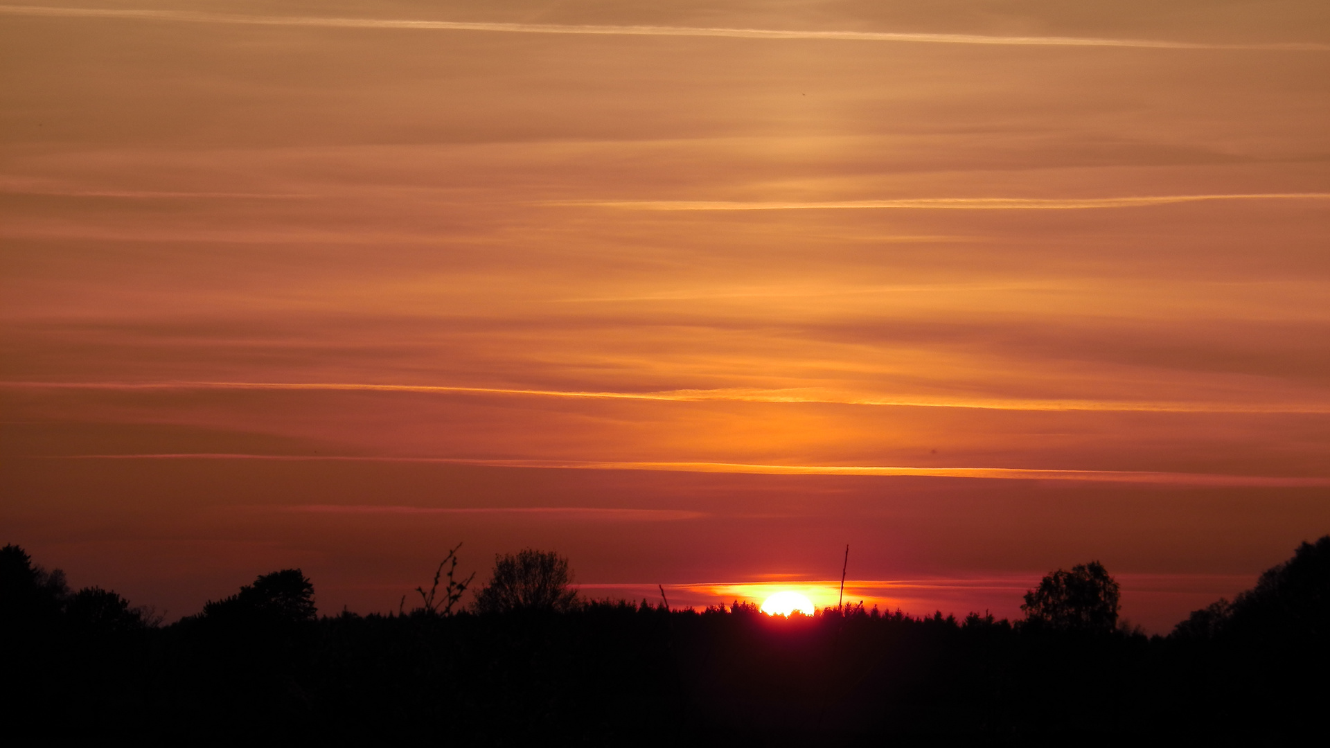 faszinierender Anblick