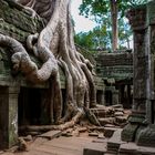 Faszinierender Ta Prohm Tempel, Kambodscha 2012