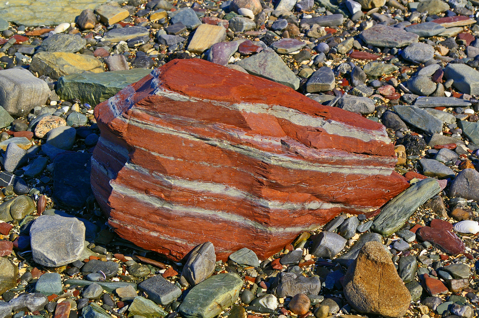 Faszinierendes Strandgut-1