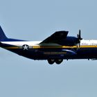 FAT Albert