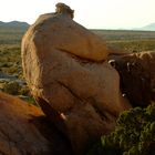 Fat man looking into the desert