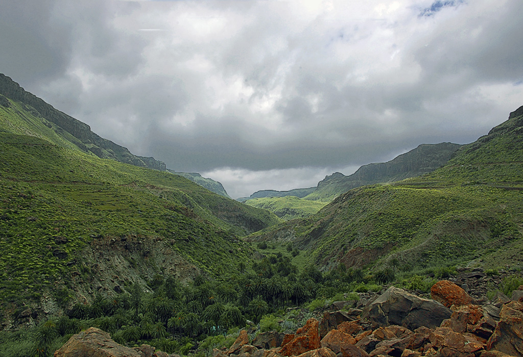 Fataga (G.Canaria )