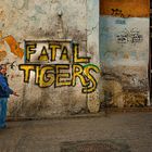 FATAL TIGERS