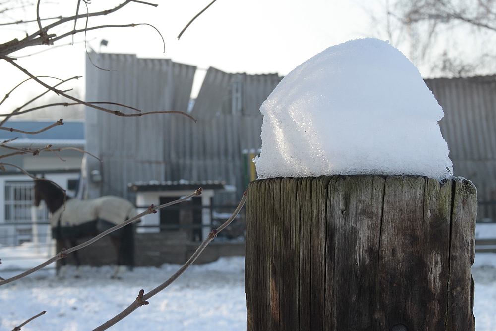 Fatale Schneehaube