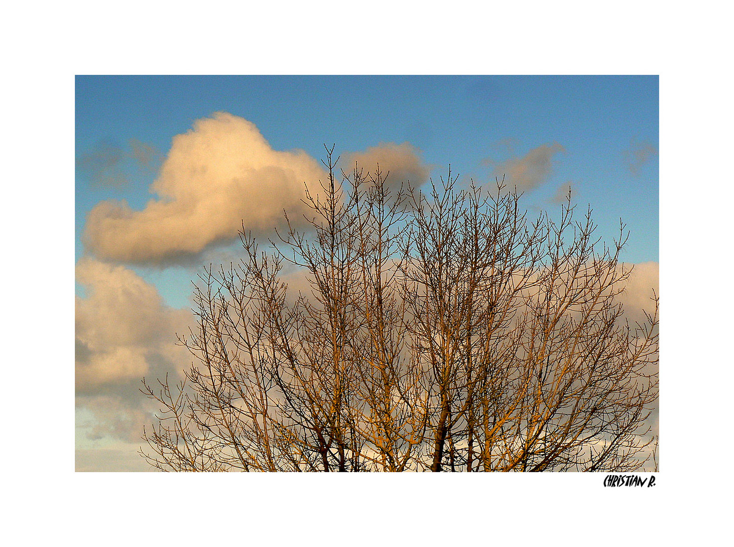 Faîtes d'hiver...