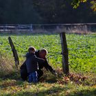 "Father and Son"