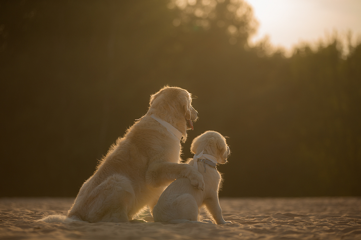 father and son