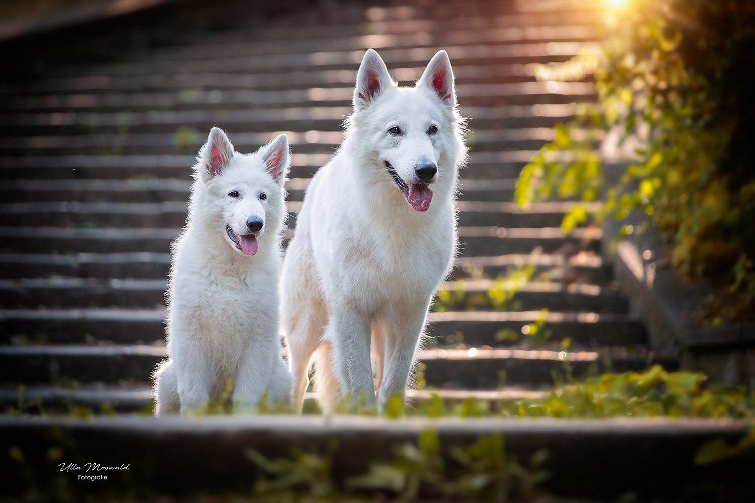 ...father & son...