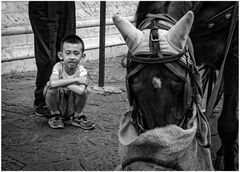 Fatti guardare, cavallino!