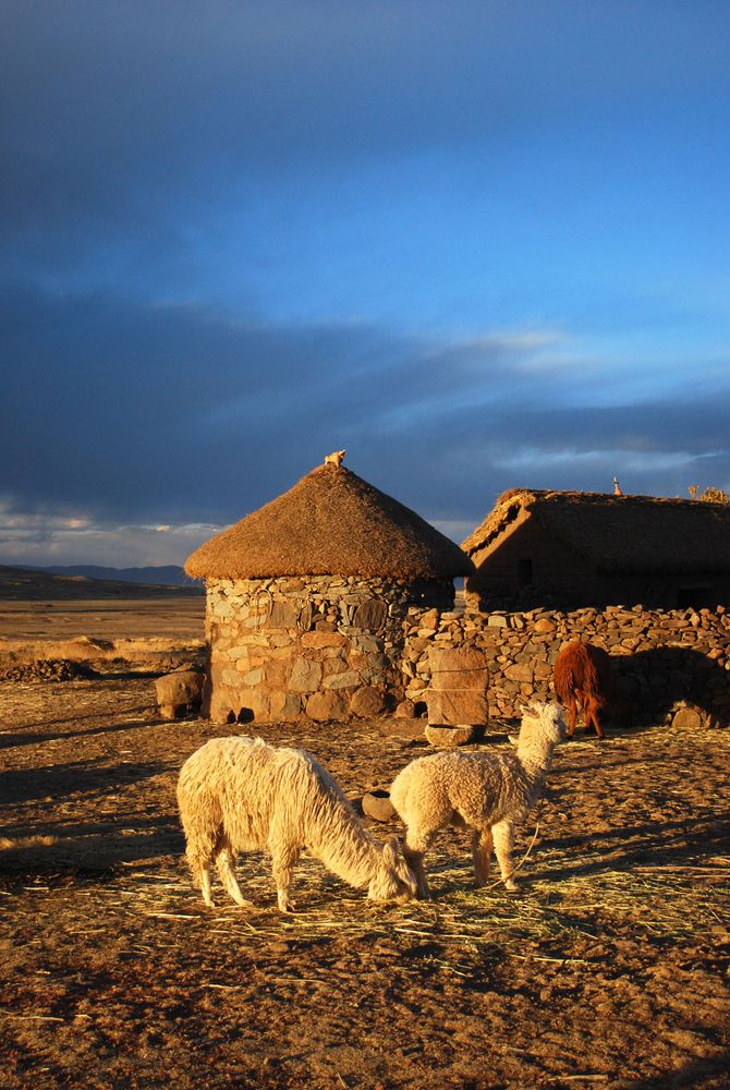 Fattoria a Sillustani