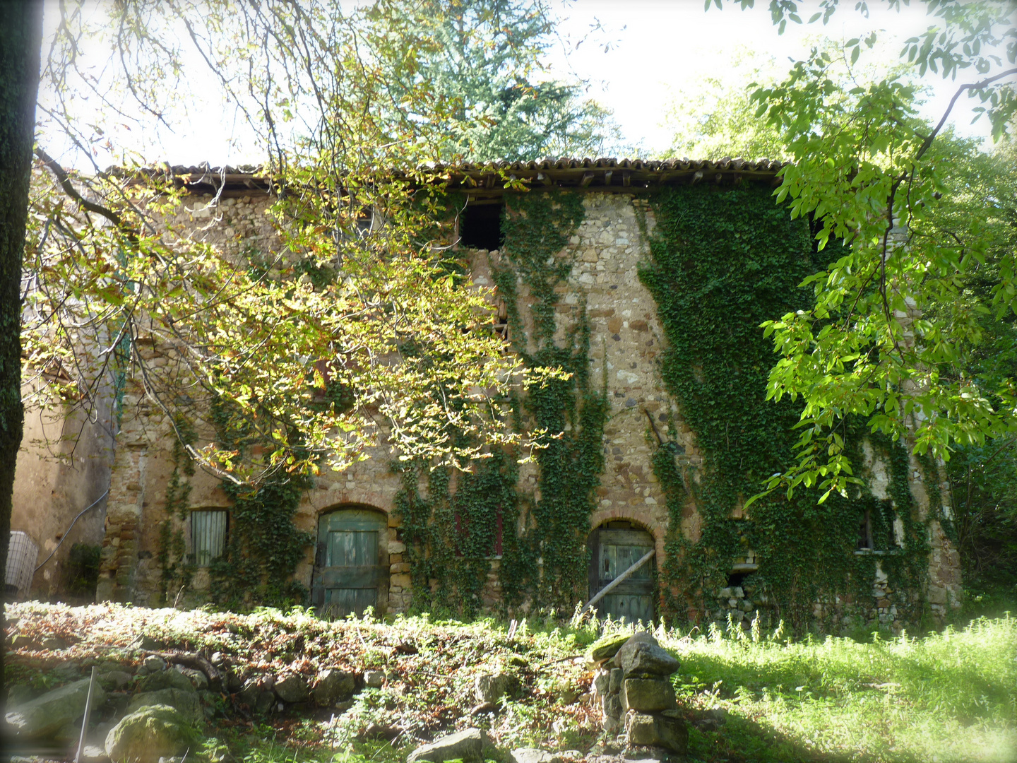 Fattoria Alpe di Balbio