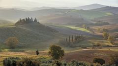 *Fattoria Belvedere*