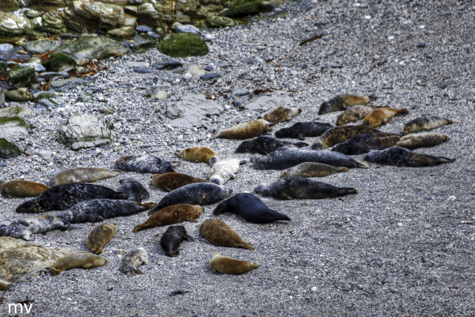 Faul am Strand liegen