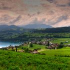 Faulensee am Thunersee