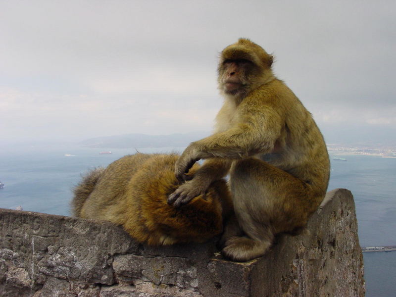 faulenzen an der Südspitze Europas