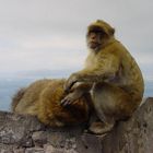 faulenzen an der Südspitze Europas