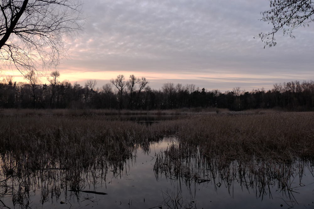 Fauler See