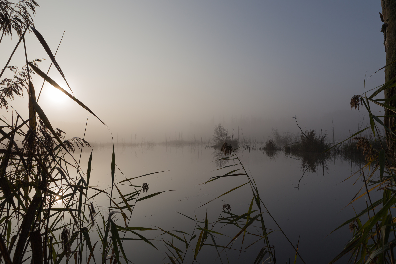 Fauler See