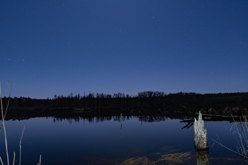 Fauler See