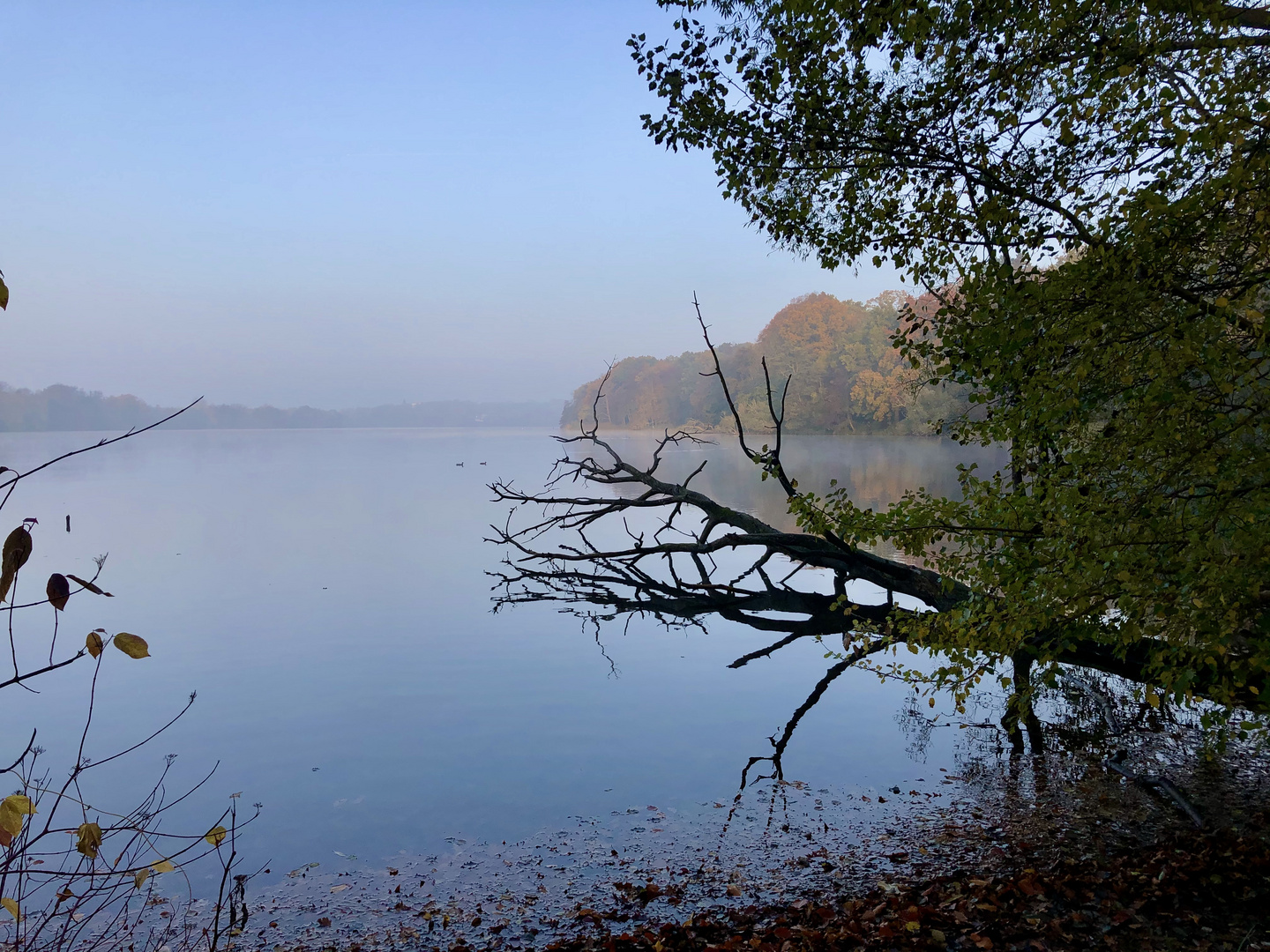 „Fauler See“ Schwerin