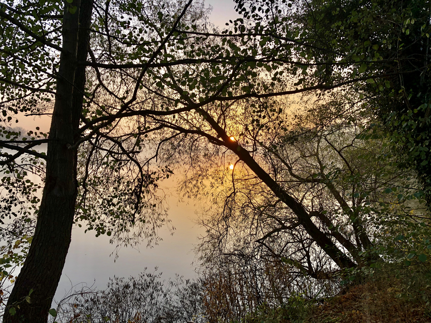 „Fauler See“ Schwerin