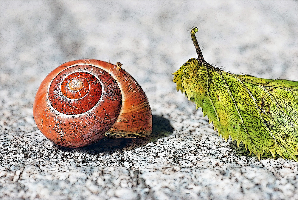 Fauna und Flora