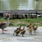 Fauna und Flora spielen zu diesr Zeit verrückt.