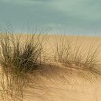 Faut-il raser les dunes?...