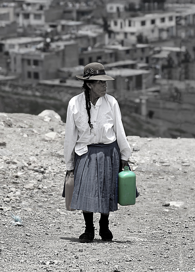 Faveas Südamerikas, Arequipa/Peru