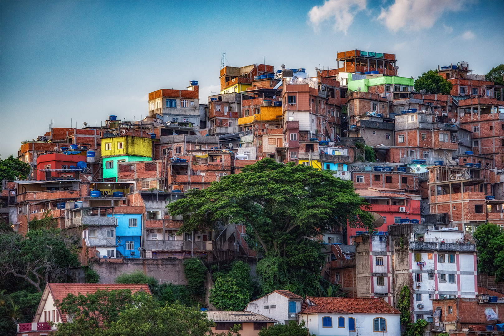 Favela