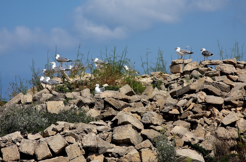 Favignana mon amour 3