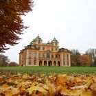 Favorite im Herbst