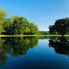 Favorite meadow turns into a fairytail pond I