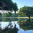 Favorite meadow turns into a fairytail pond II