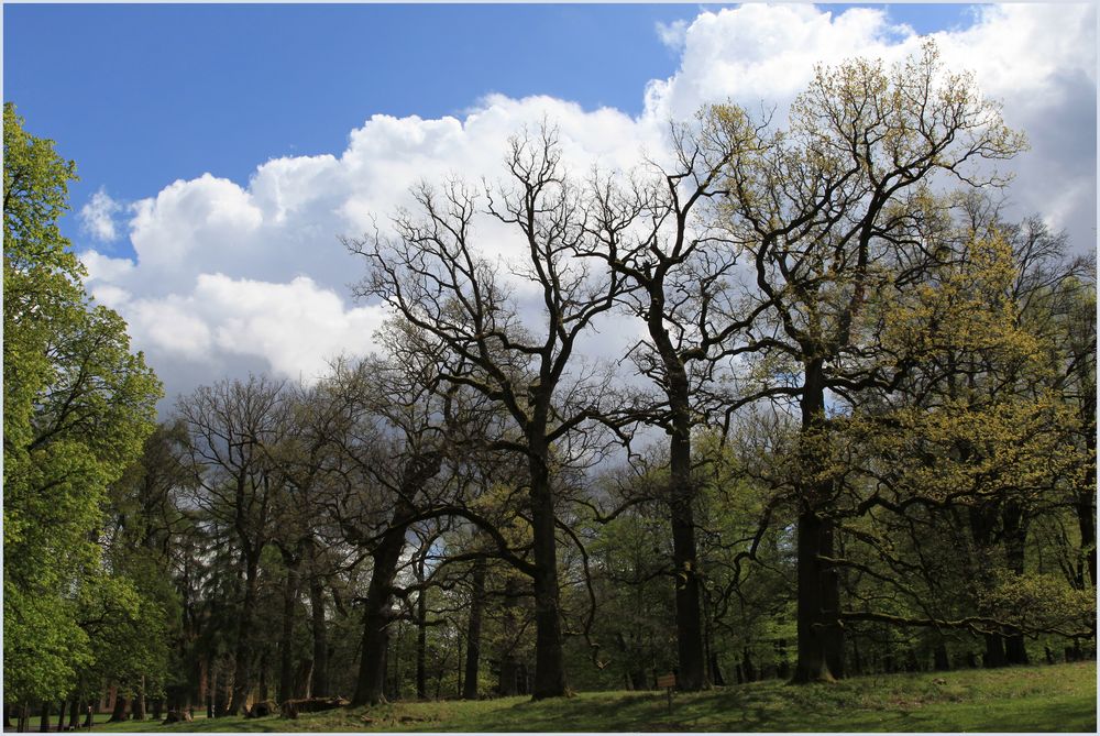 Favoritepark in Ludwigsburg