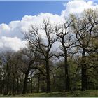 Favoritepark in Ludwigsburg