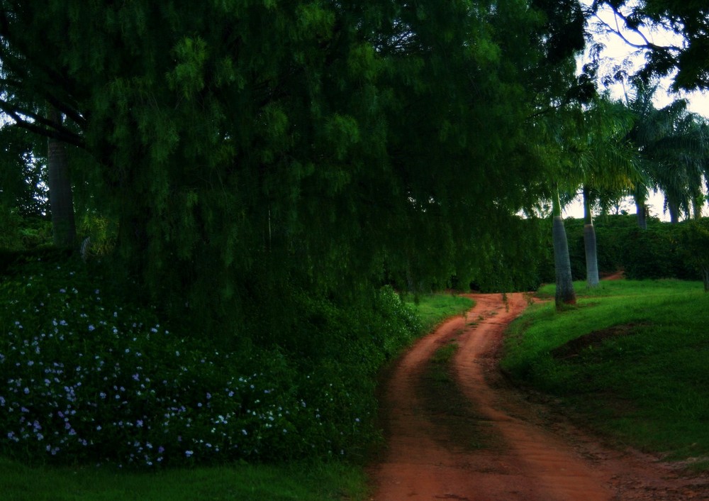 Fazenda Pedra Negra