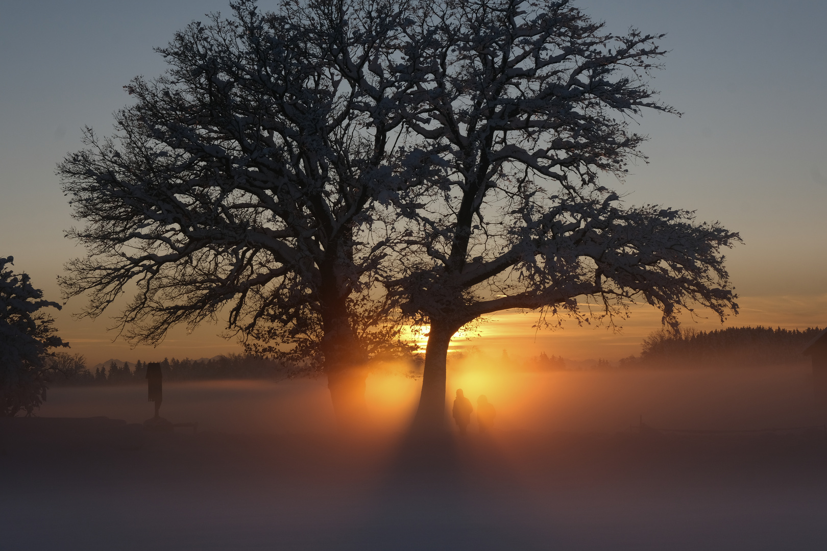 FB 2 Abendnebel Königsdorfer Loipe