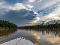 Sungai Kinabatangan von Lutz Matthias Berger