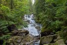 Rieslochfälle im Bayerischen Wald von Michael Stötzel