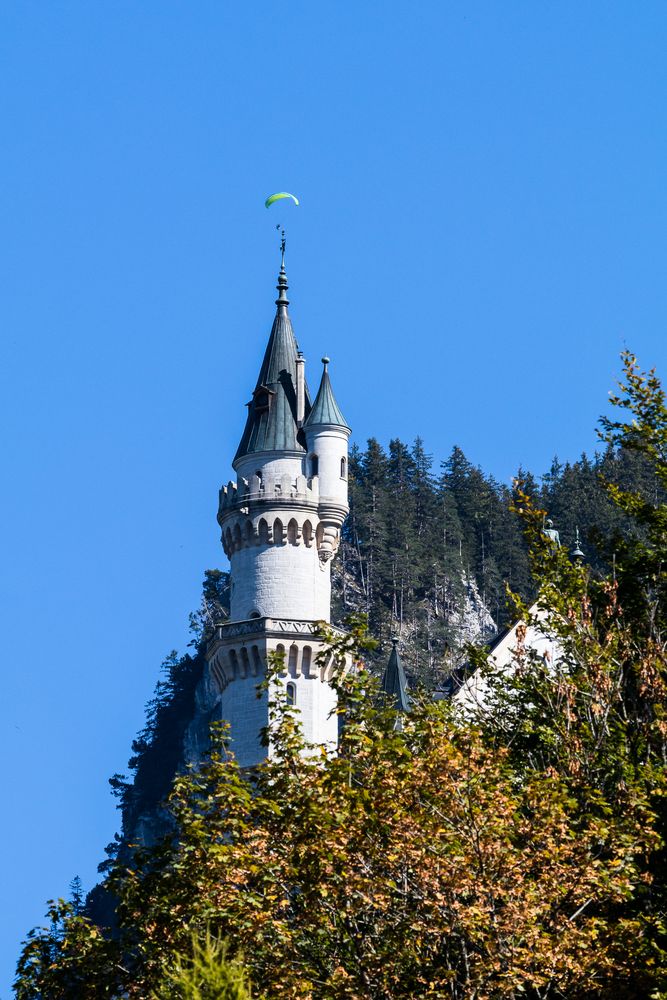 Bayern - Allgäu - Hohenschwangau-25951 von Rainer Bogdoll