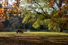 HERBST