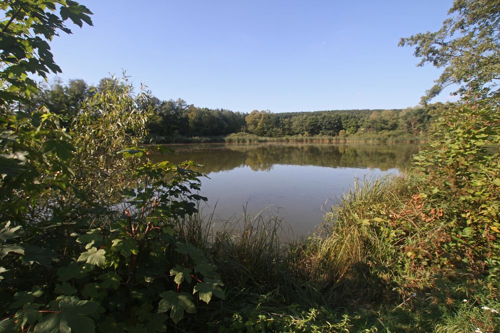 Gederner See von Jürgen Frisch